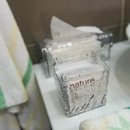 L'encis Triplex 公寓 *